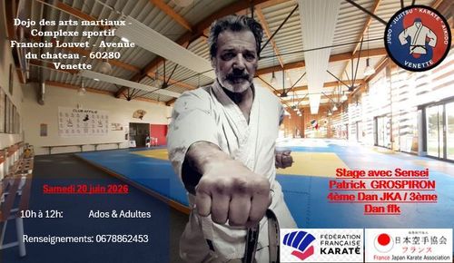 Stage avec le Judo jujitsu Venette
